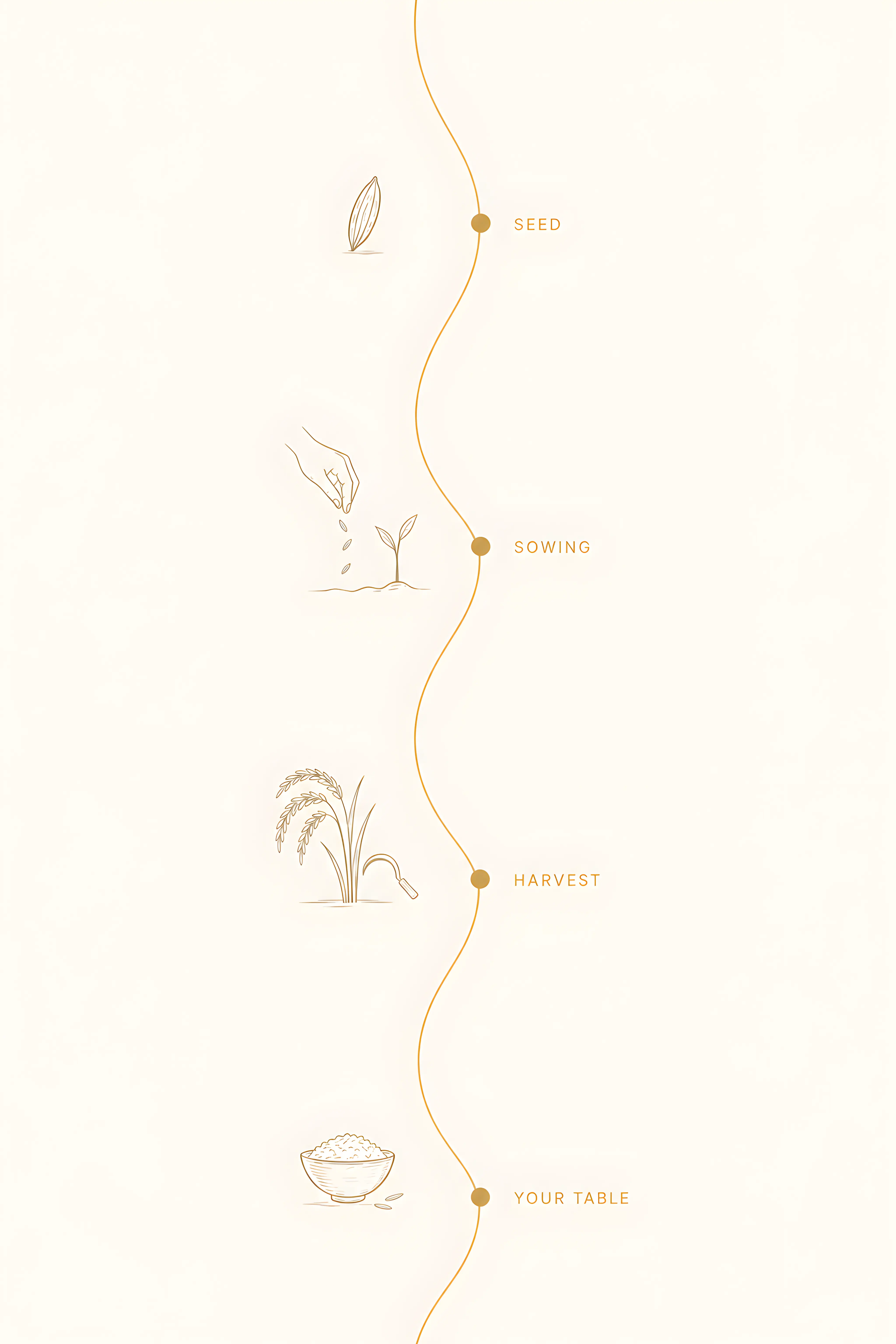 The Journey of a Grain